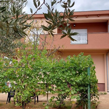 זאדאר Apartment Iva מראה חיצוני תמונה
