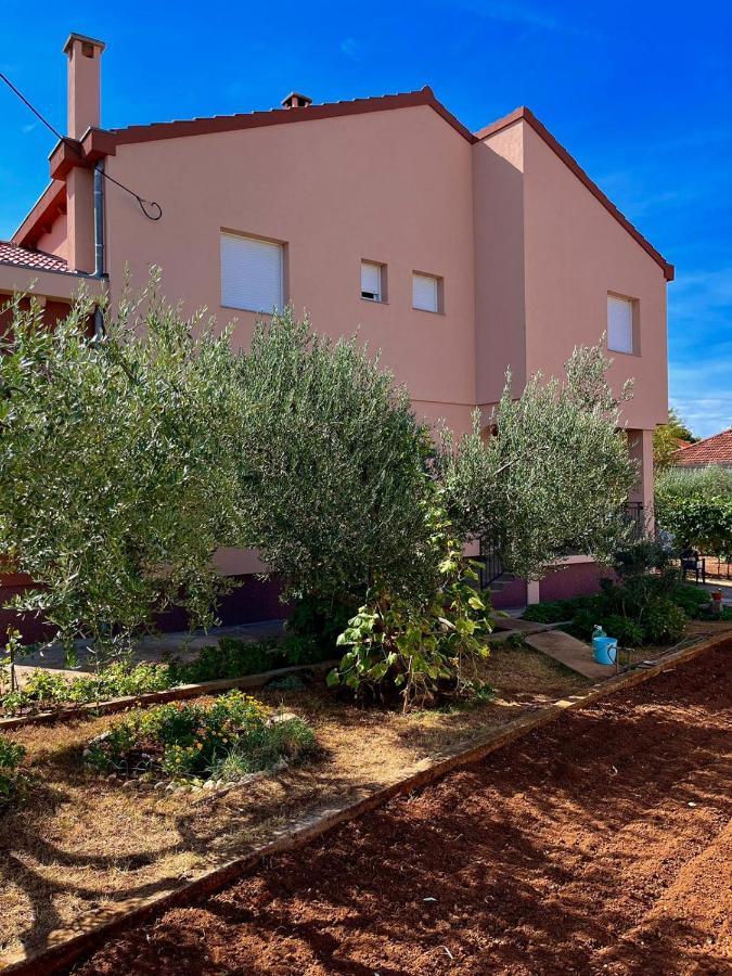 זאדאר Apartment Iva מראה חיצוני תמונה